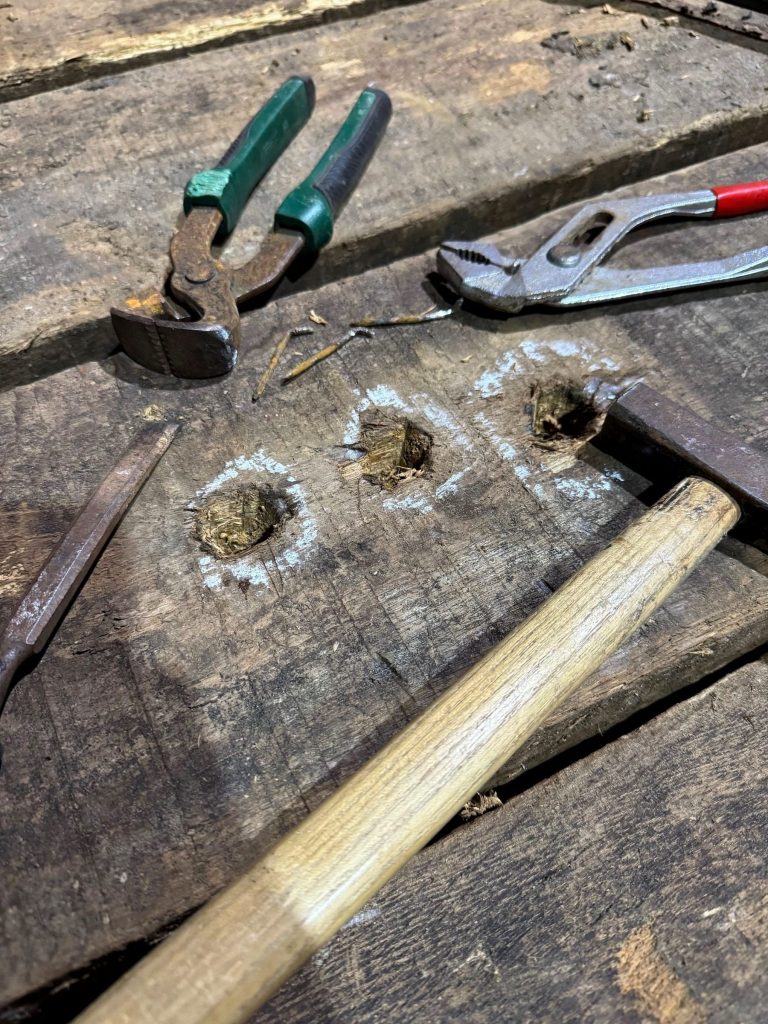 Alte Nägel werden mit Zange und Hammer aus einem Eichenbalken entfernt